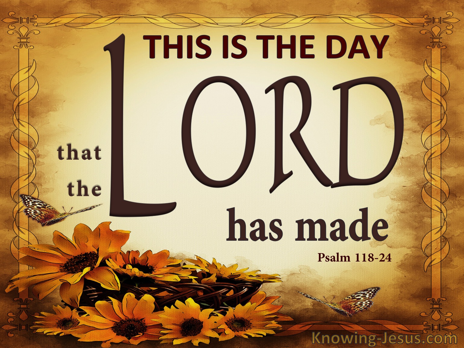 What Does Psalm 118 24 Mean 